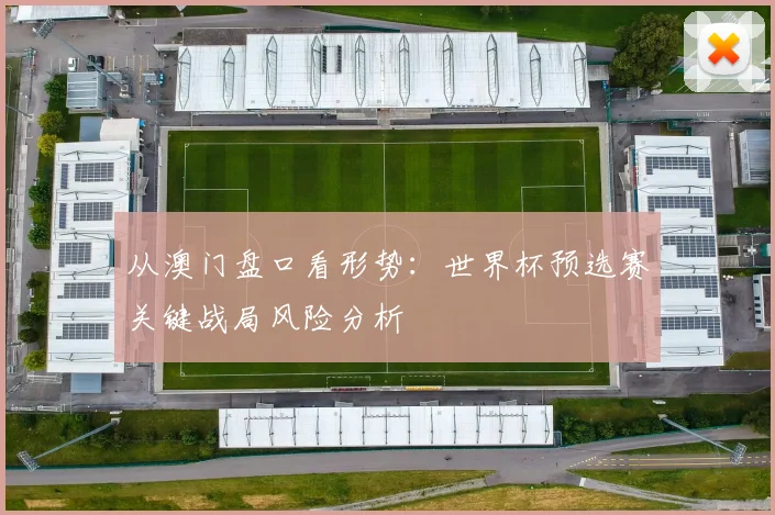 从澳门盘口看形势：世界杯预选赛关键战局风险分析