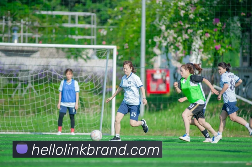 完美体育登录入口APP 封面图